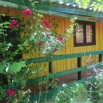 Дача с.Оноківці, Лиса Гора