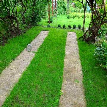 Доглянута дача біля річки ( Чисті пруди)