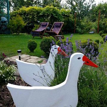 Доглянута дача біля річки ( Чисті пруди)