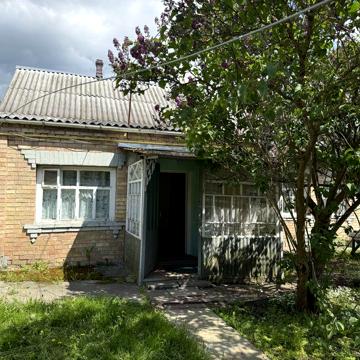 Оренда будинку. с.Борова