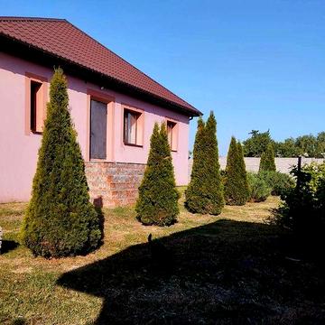 Продажа дома в Подгороднем. Ремонт, мебель,  техника