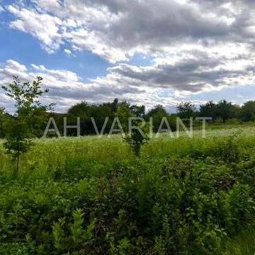 Циганівці, Ужгородський, Закарпатська область 6500.0 USD