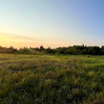Миколи Петровського вул.
