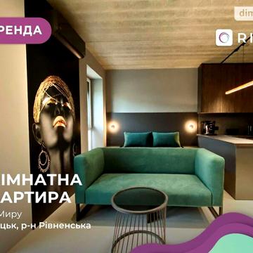 Довгострокова оренда 1к Квартира Миру вулиця