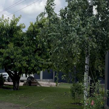 Академіка Вільямса вул.