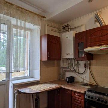 Оренда 1к квартири.Автономне. Можна з тваринкою. Центр, Шкіпер