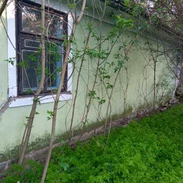 Продам будинок 3 кімнати