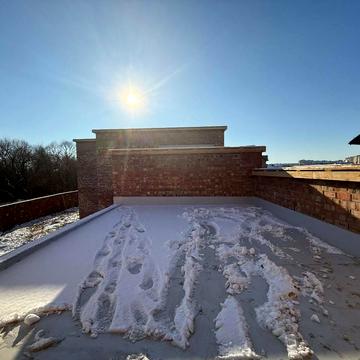 Патріарха Володимира вул.
