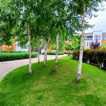 Продаж 3к Квартира Наталії Околитенко (Ломоносова) вулиця ЖК Найкращий квартал