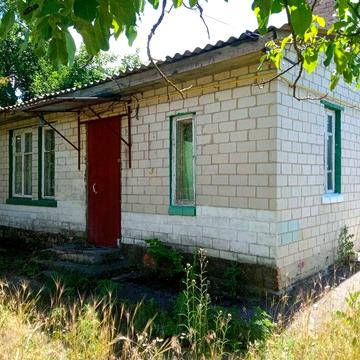 Продам будинок в с. Будище