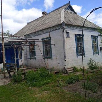 Сдам 2 дома на одном участке. Земли 1 Га. Любомировка
