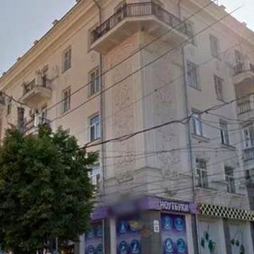 Велика Перспективна вул., 88