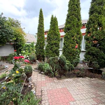 Здам будинок. Краснопілля