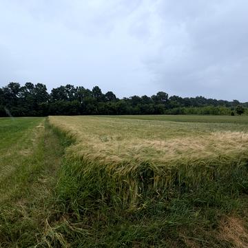 Зарванці, Вінницький, Вінницька область 31000.0 USD