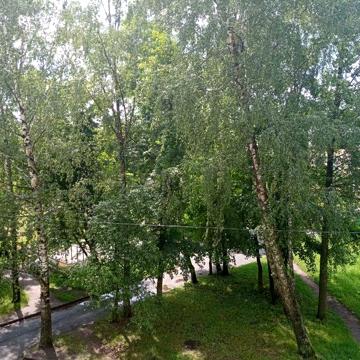 Здам в довгострокову оренду двокімнатну квартиру в центрі