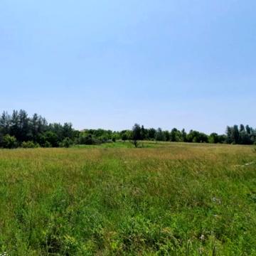 Старі Безрадичі, Обухівський, Київська область 1100000.0 USD