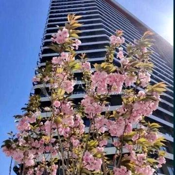 Продаж ЖК Great 2к 68кв Комфорт клас Найкраща ціна в комплексі NEW ЖК Great
