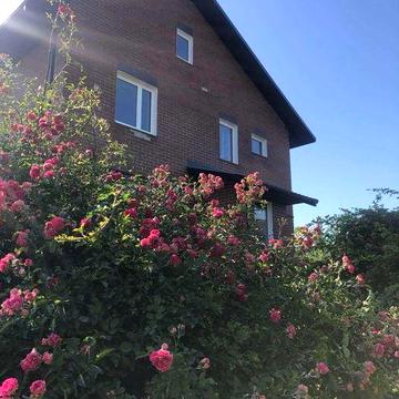 Будинок у с.Воля Ковельська