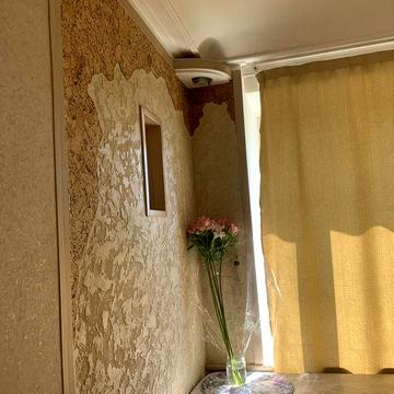 Продаю 1-у квартиру, Голосієво
