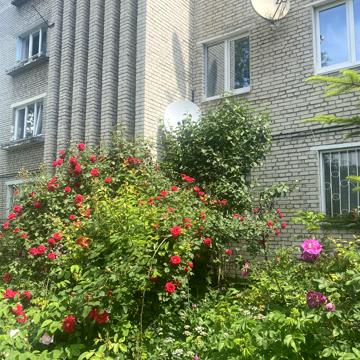Івана Виговського вул. (Терешкової), 63