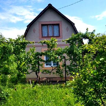 Дача Ужгород (Нижнє Солотвино)