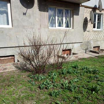 Продам 1 кімнатну квартиру в Балаклії Харківської області 1 й поверх н ЖК сел. Нафтовиків