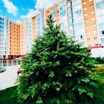 Топ продаж! Квартира  з документами  ЖК Сфера «Соф.  Борщагівка! ЖК Софія Сфера