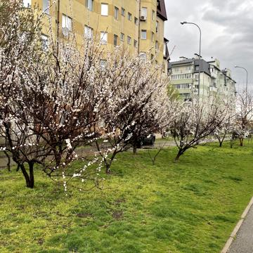 Івана Дяченка вул., 20В