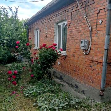 Одноповерховий будинок