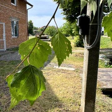 Продаю добротний цегляний будинок