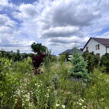 Гагаріна/Замкова