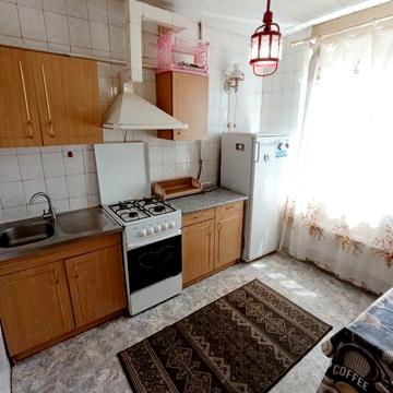 Сдам 1 к.кв. на Холодной горе, Дудинская