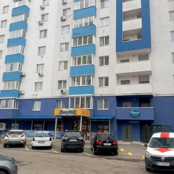 Сімї Стешенків вул. (Тимофія Строкача), 9