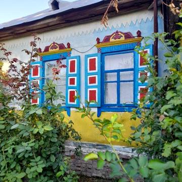 Здається будинок Чернігівська область Борзнянський р-н