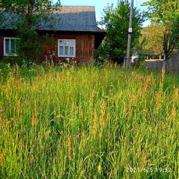 Продається будинок з господарськими будівлями