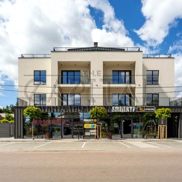 Васильківський район