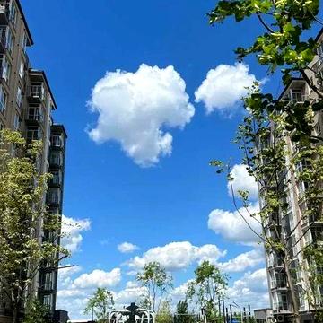 Купите квартиру в ЖК Брама - редкая планировка! Левый берег ЖК Дніпровська Брама 2