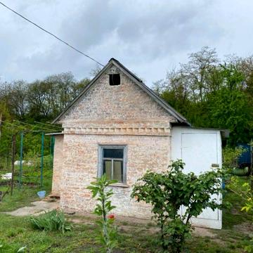 Продам дачу із виноградником і садом