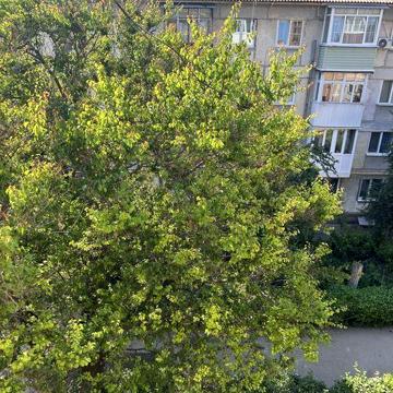 Продам 3-кімнатну квартиру