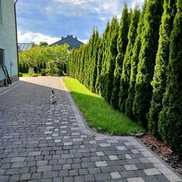 Комфортний будинок з ремонтом  в  м.Самбір..