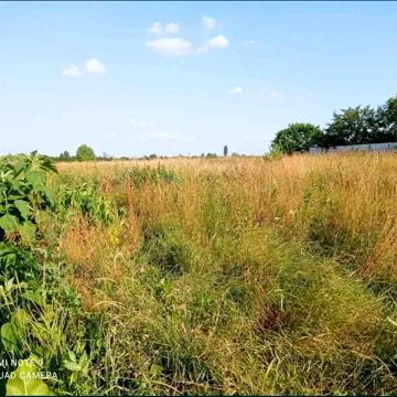 Гурівщина, Бучанський, Київська область 25000.0 USD