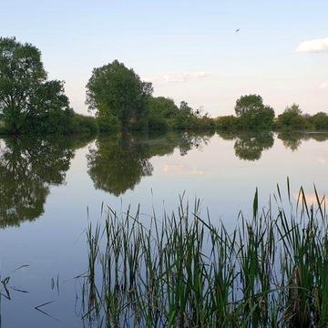 Будинок і 42 сотки с.Храпачі, Київська обл.