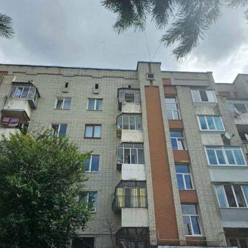 Оренда 1 кім. кв. у Залізничному р-н , вул. Багряного - Городоцька