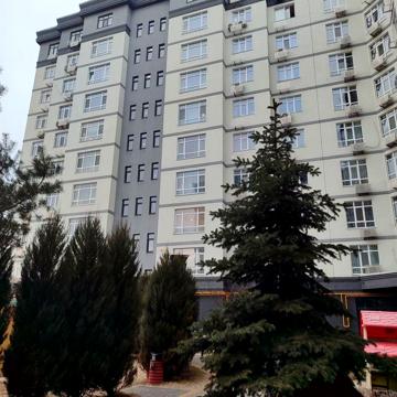 Толстого 1 оренда євродвушка