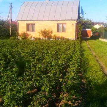 Продам Будинок в м.Березне