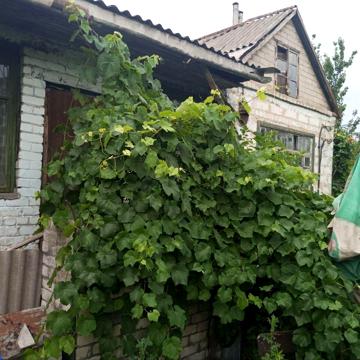 Саперна вул., 24