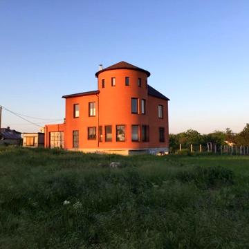Віноградна