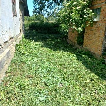 Продам будинок в селі Судилків