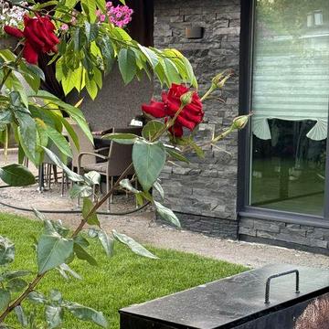 Окремий будинок від власника Зарічча