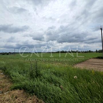 Безуглівка, Бориспільський, Київська область 600000.0 USD